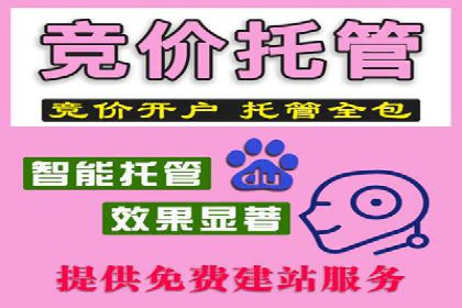 深度解析托管竞价sem：一则行业领先企业的成功故事